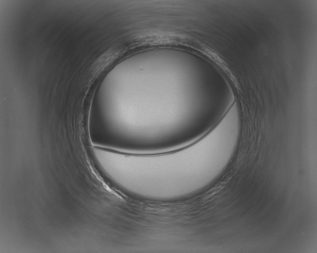 X0000053010485200507081025