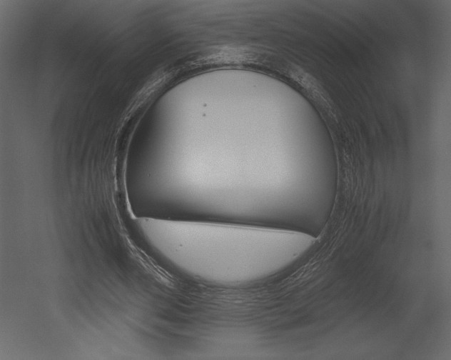 X0000053010486200507081025