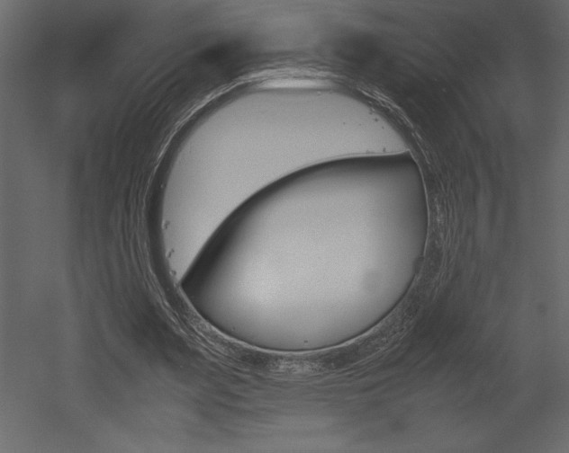 X0000053010487200507081025