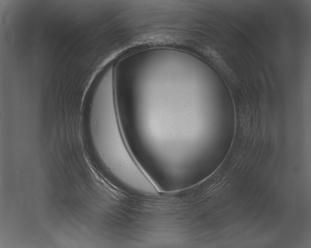 X0000053010488200507081025