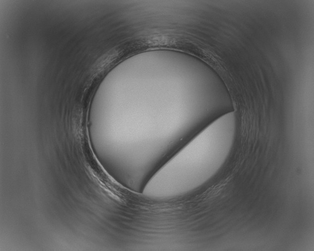 X0000053010490200507081025