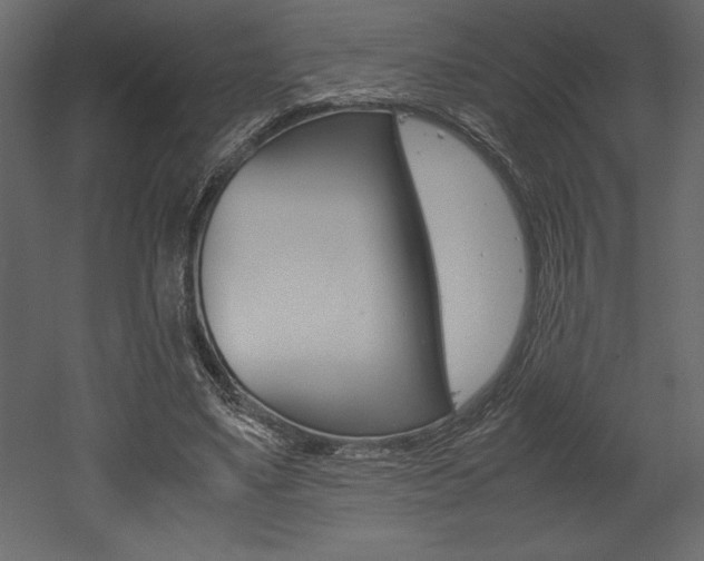 X0000053010491200507081025