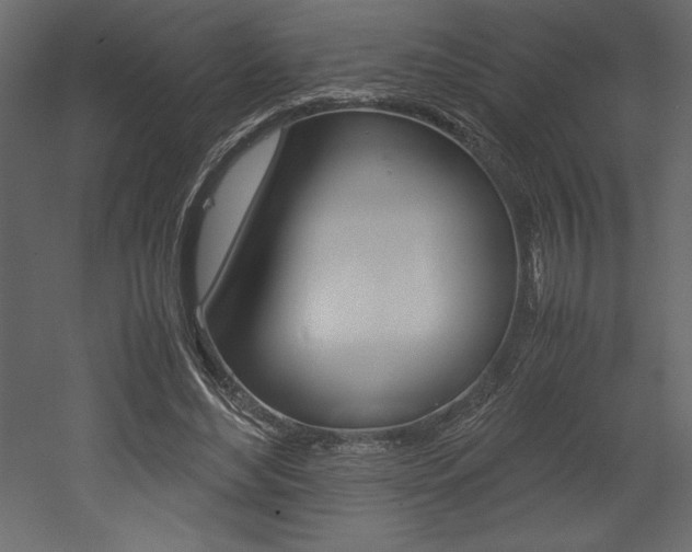 X0000053010492200507081025