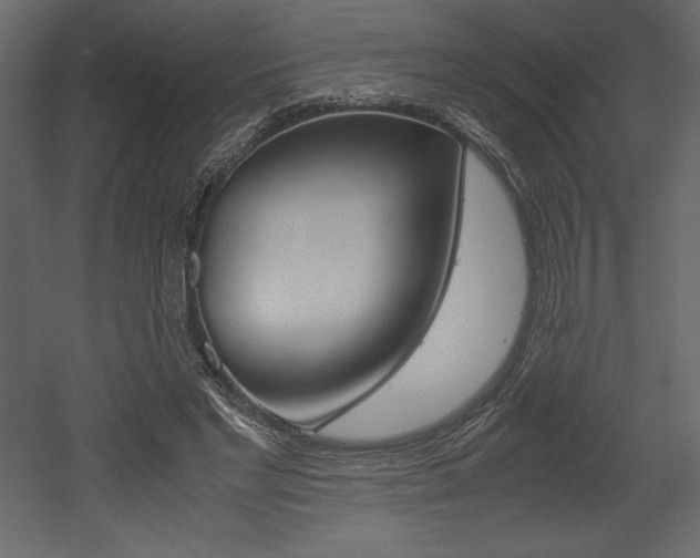 X0000053010493200507081025