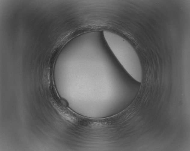 X0000053010494200507081025