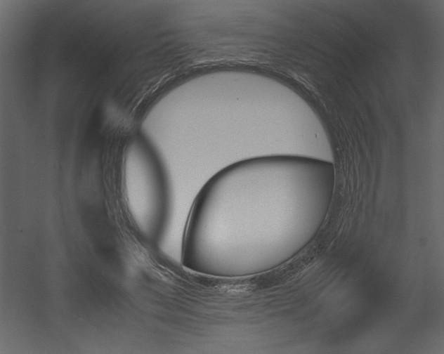 X0000053010495200507081025