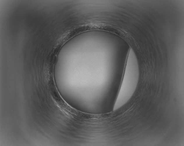 X0000053010496200507081025