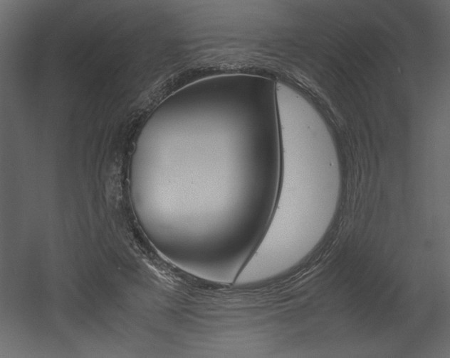 X0000053010497200507081025