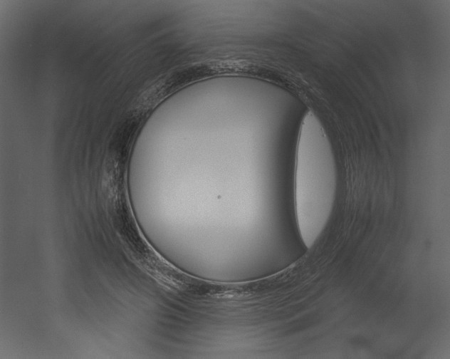 X0000053010498200507081025
