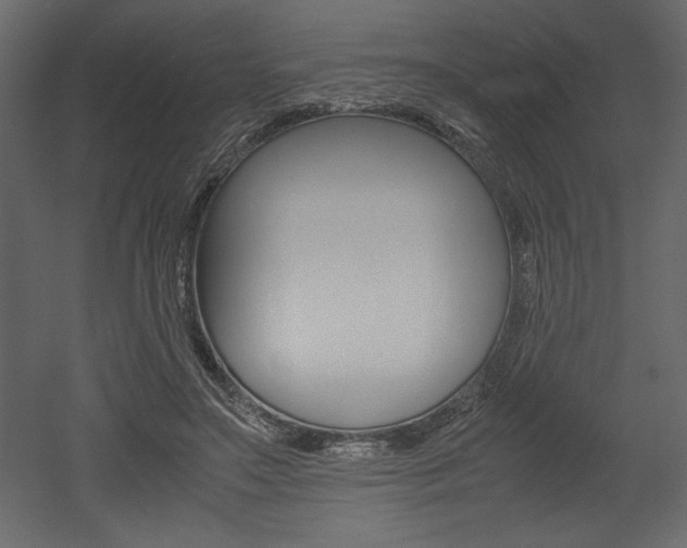 X0000053010499200507081025