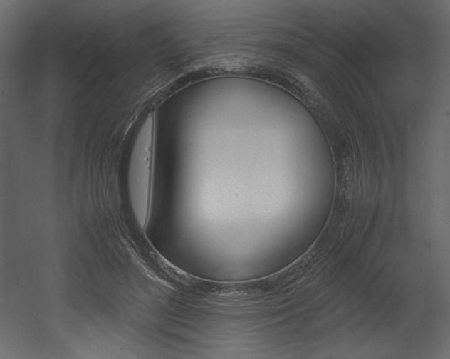 X0000053010500200507081025