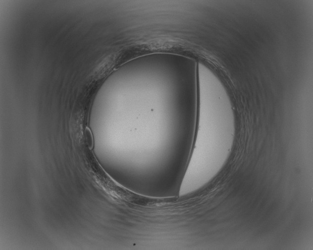 X0000053010501200507081025
