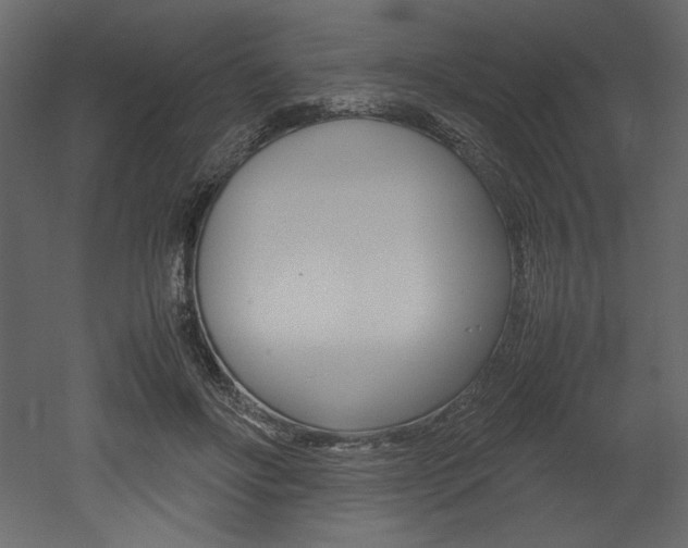 X0000053010502200507081025
