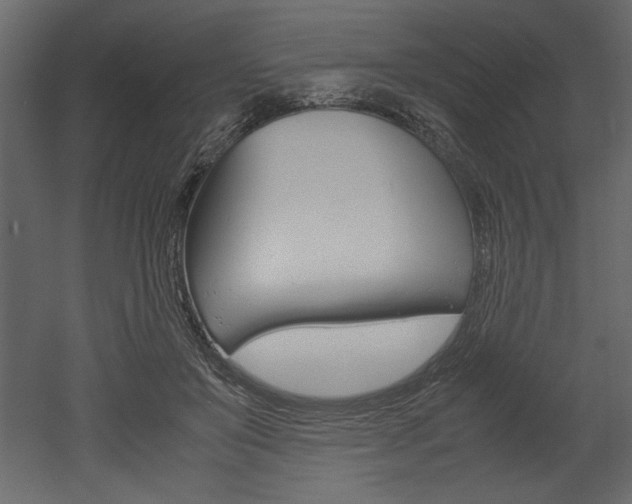 X0000053010503200507081025