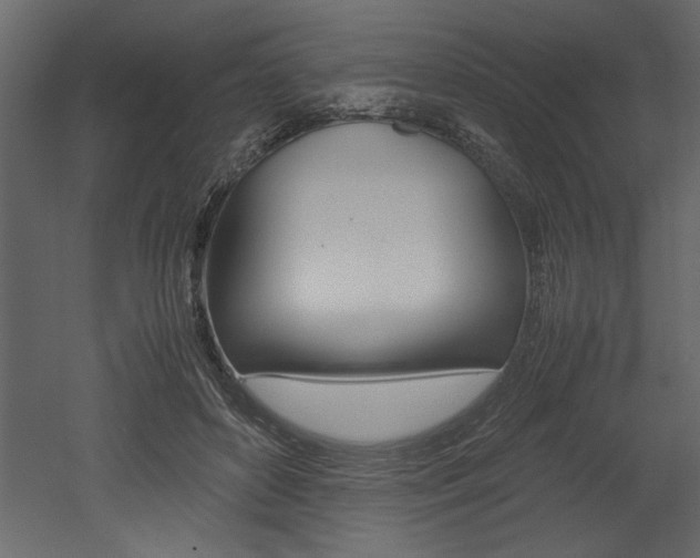 X0000053010504200507081025
