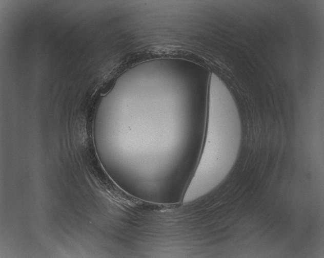 X0000053010508200507081025