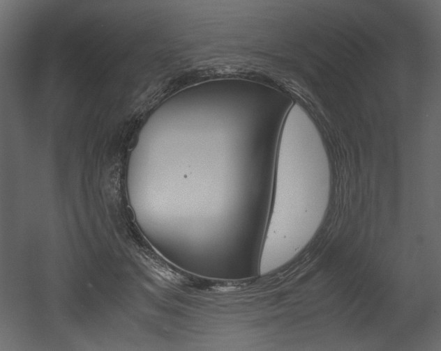X0000053010509200507081025