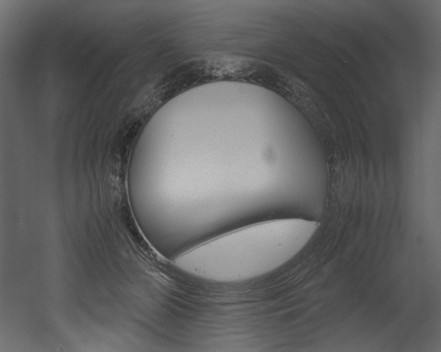 X0000053010510200507081025