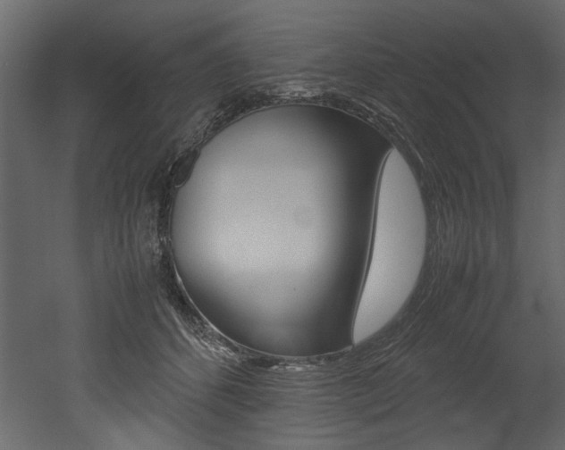 X0000053010512200507081025