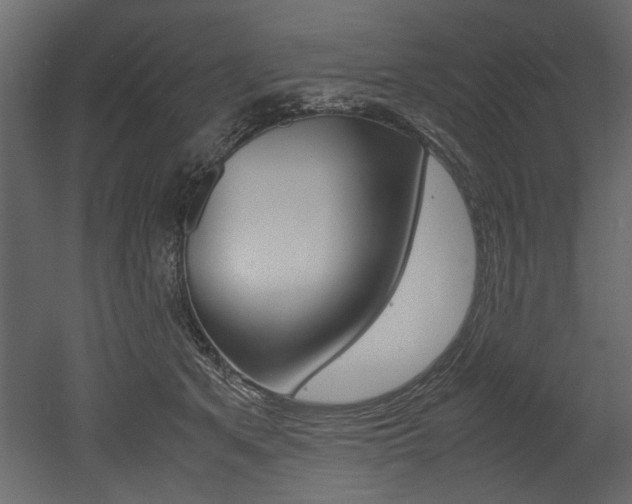 X0000053010513200507081025
