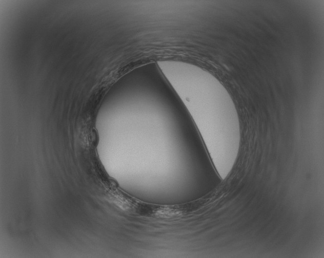 X0000053010515200507081025