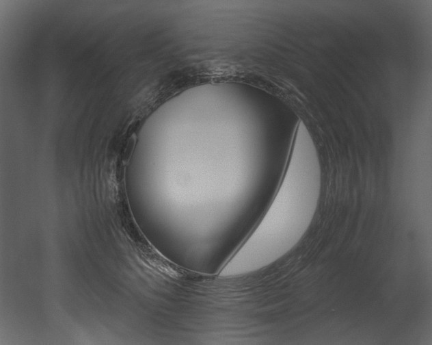 X0000053010516200507081025