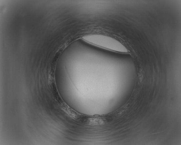 X0000053010520200507081025