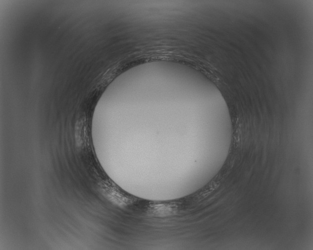 X0000053010522200507081025