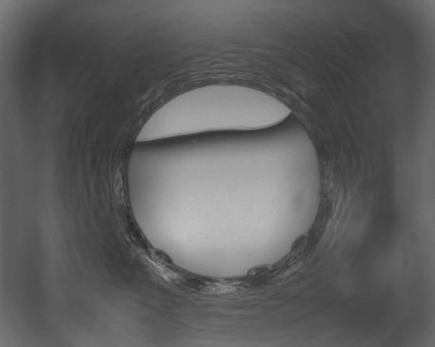 X0000053010523200507081025