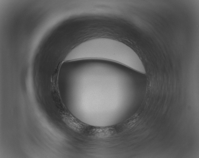 X0000053010524200507081025