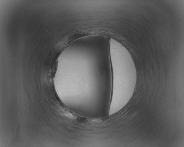 X0000053010525200507081025