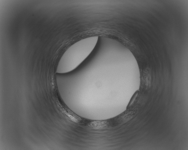 X0000053010526200507081024