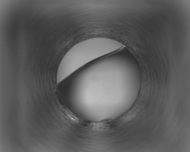 X0000053010528200507081024