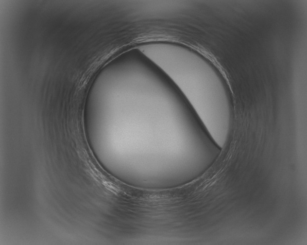 X0000053010529200507081024
