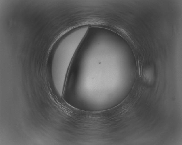 X0000053010531200507081024