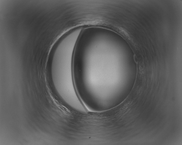 X0000053010532200507081024