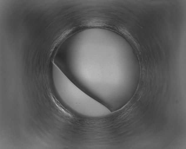 X0000053010533200507081024