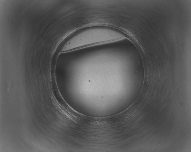 X0000053010535200507081024