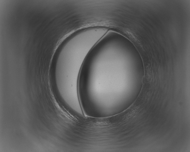 X0000053010536200507081024