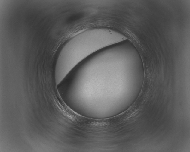 X0000053010537200507081024