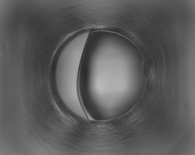 X0000053010540200507081024