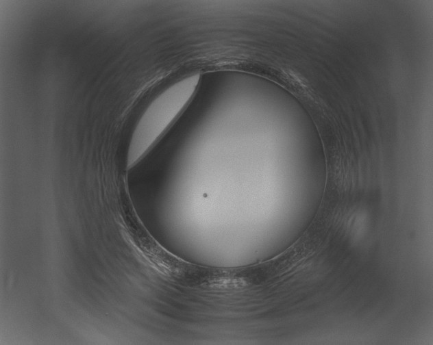X0000053010543200507081024