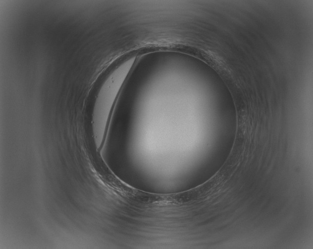 X0000053010544200507081024