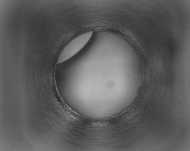 X0000053010545200507081024