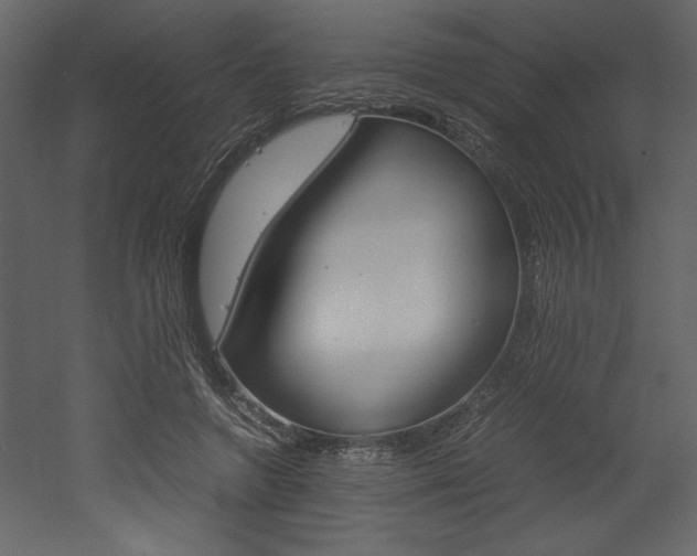 X0000053010546200507081024