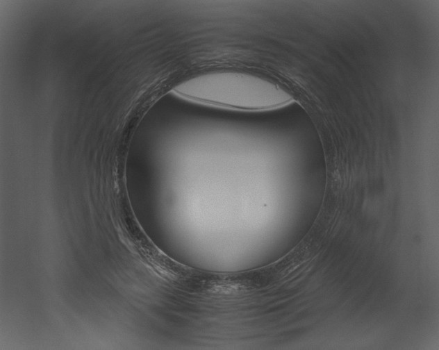 X0000053010547200507081024