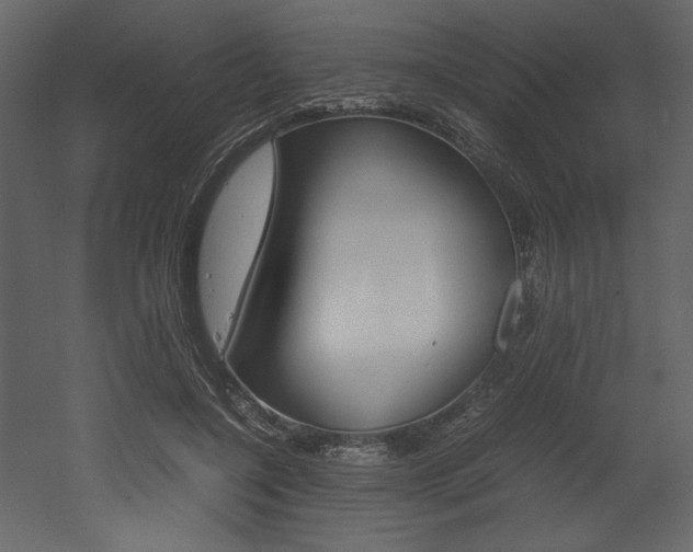 X0000053010548200507081024