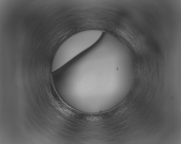 X0000053010549200507081024