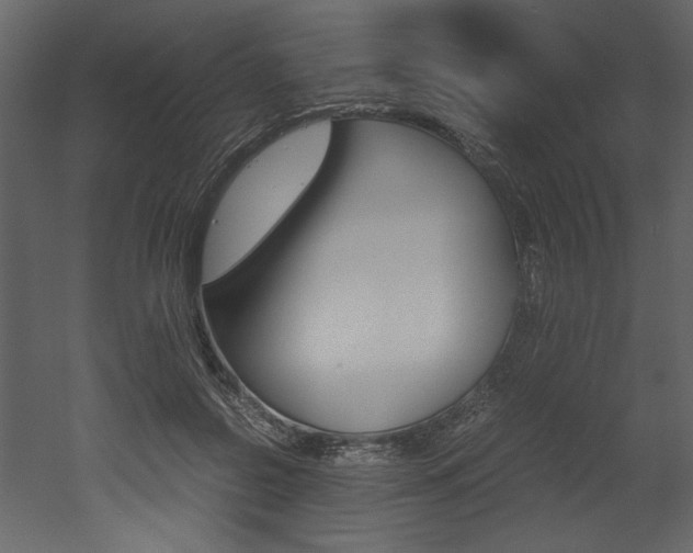 X0000053010550200507081024