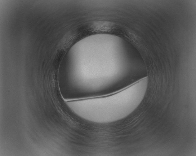 X0000053010551200507081024